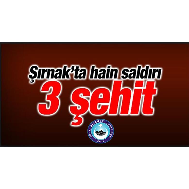 ŞIRNAKTAN 3 ŞEHİT HABERİ DAHA